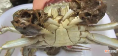 螃蟹死了还能吃吗， 螃蟹死活怎么辨别？