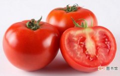 【播种】番茄什么时候播种：可春播也可秋播