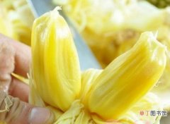 【繁殖】菠萝蜜的繁殖方法 ,3种方法繁殖美味的菠萝蜜
