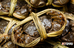 切记死螃蟹是绝对不能吃 死螃蟹能吃吗