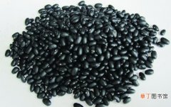 【营养】黑豆的营养价值：入肾功能多|营养全面