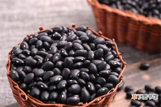 【适合】黑豆什么人不适合吃，儿童与痛风患者不可食用