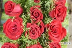 【爱情】20朵玫瑰代表什么意思，两情相遇/此生不渝的爱情