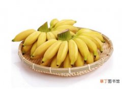 【价值】皇帝蕉的营养价值：提供膳食纤维,增强肠道功能