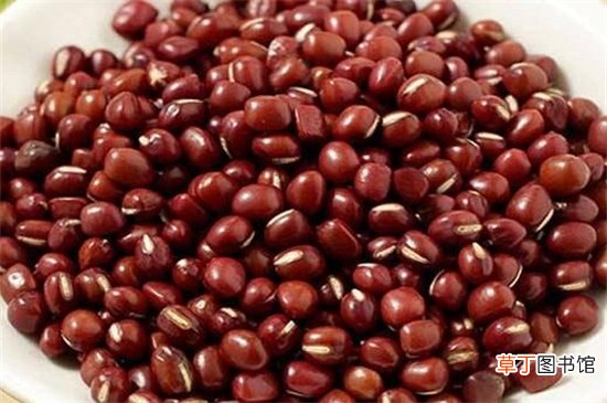 【赤小豆】红豆红小豆赤小豆的区别，形态口感营养价值不同
