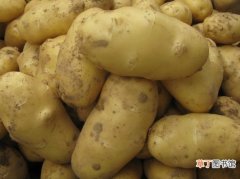 【种植】马铃薯种植技术：生育期施肥应掌握“攻前、保中、控尾”原则