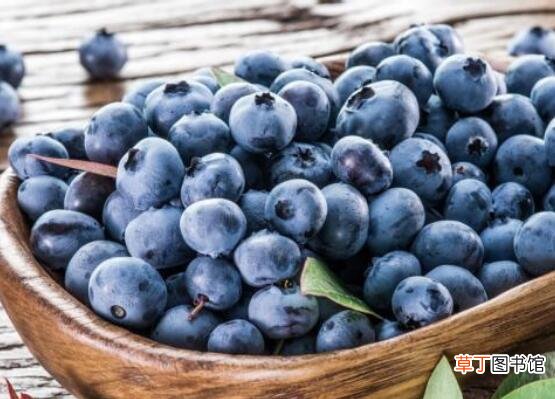 【吃】蓝莓一次吃125g会死吗，不会/一天吃20颗最好