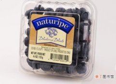 【吃】蓝莓一次吃125g会死吗，不会/一天吃20颗最好