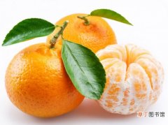 【桔子】橘子和桔子的区别：很多时候橘子和桔子是两种地域性称呼