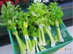 【种植】芹菜什么时候种植：春季温室栽培育苗