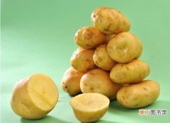 【营养】马铃薯的营养价值：患中风几率可减少40％且无副作用