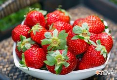 【价格】草莓价格：产地批发价从5~10元/斤不等