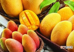 【功效】芒果的功效与作用：皮肤过敏|胃寒|咳嗽,不宜吃