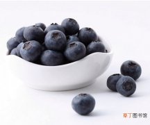 【吃】蓝莓怎么吃，蓝莓的吃法