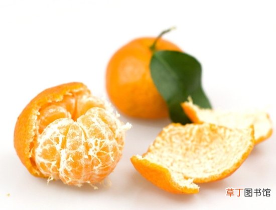 【作用】橘核的功效与作用：理气、止痛 、助消化