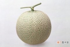 【产地】香瓜产地在哪：香瓜原产于非洲热带沙漠地区，北魏时期随着西瓜一同