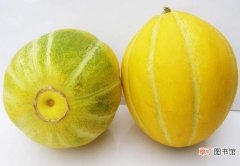 【功效】香瓜的功效与作用，富含维C矿物能润肠通便延缓衰老