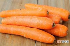【凉性】萝卜是不是凉性的，凉性可降火去燥解毒生津
