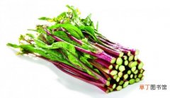 【种植方法】红菜苔的种植方法：注意种植时间和肥水管理