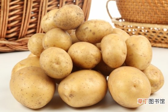 【吃】发芽的土豆能吃吗？有毒不能吃