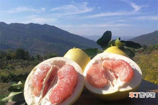 【功效】红柚子的功效与禁忌，可美容养颜但不宜大量食用