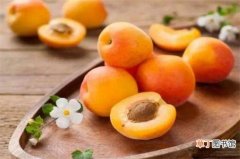 【吃】杏和鸡蛋能一起吃吗，可以但容易消化不良