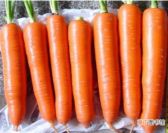 【胡萝卜】吃胡萝卜能减肥吗：可以，有燃脂刮油效果