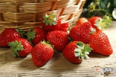 【结果】草莓什么时候结果，大概在4～5月开花结果