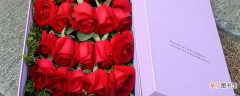 【玫瑰花】21朵红玫瑰花语是什么