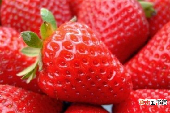 【草莓】草莓上面的籽可以种吗
