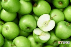 【吃】孕妇能吃青苹果吗：可以，但不宜多吃