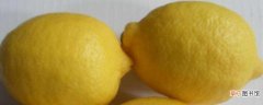 【品种】柠檬品种