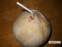 【吃】椰子怎么打开：喝汁和吃肉的具体方法