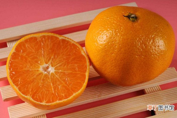 【橘子】橙子和橘子的区别，橘子吃多了易上火