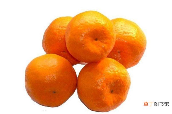 【橘子】橙子和橘子的区别，橘子吃多了易上火