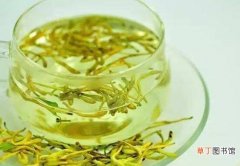 【泡水】金银花怎么泡水喝，用金银花泡茶喝的好处与禁忌