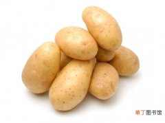 【种植】土豆什么时候种植：一般10月到12月种植