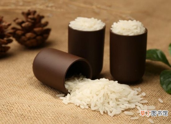 【品种】什么大米最好吃：普遍来说好吃的大米品种北方比南方要多