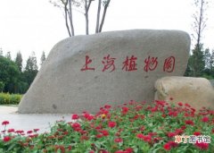【植物】上海植物园好玩吗：海外人士评为最喜爱的郊游目的地
