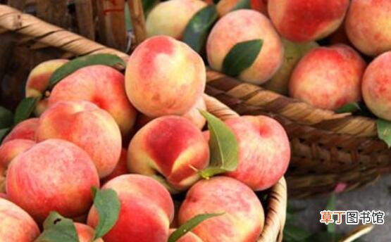 【桃子】荔枝和桃子能一起吃吗，一起吃可预防便秘还能补气血