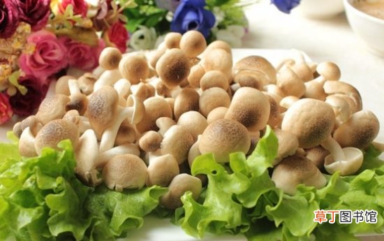 【价值】蟹味菇的营养价值：子实体中的提取物有很高的抗肿瘤活性