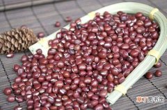 【功效】红小豆的功效与禁忌，可通肠润便但不宜大量食用