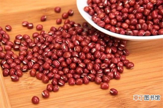 【功效】红小豆的功效与禁忌，可通肠润便但不宜大量食用