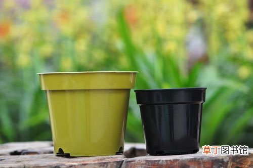 【花盆】怎样选择花盆：陶盆|瓷盆|塑料盆