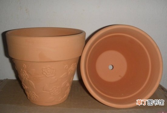 【花盆】怎样选择花盆：陶盆|瓷盆|塑料盆