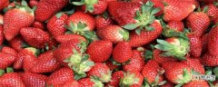 【季节】草莓季节是几月份