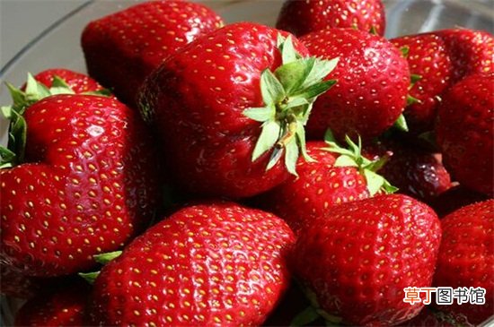 【季节】草莓季节是几月份
