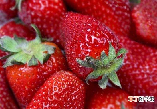 【盆栽】草莓盆栽养殖方法：喜欢微酸疏松土壤，PH在5.3-6.5之间