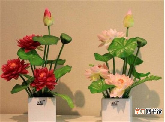 【插花】睡莲插花瓶里怎么养，4个步骤插入花瓶养殖方法