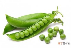 【豌豆】吃豌豆的好处：6大好处,豆粒不宜长期大量食